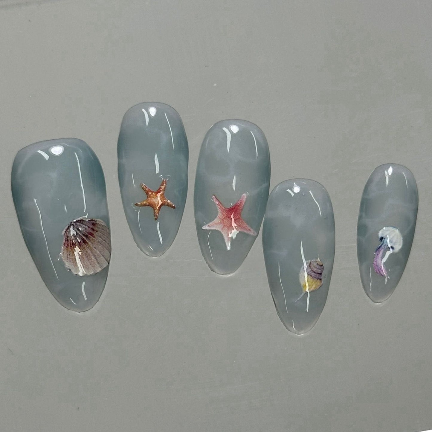 Ocean Shell Jellyfish
