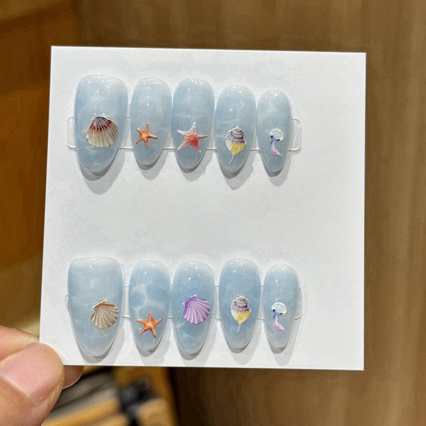Ocean Shell Jellyfish